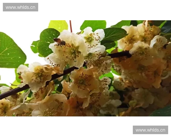 聚焦洁具生产厂家推动智能卫浴产业高质量绿色创新发展 聚焦洁具生产厂家推动智能卫浴产业高质量绿色创新发展